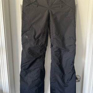 The North Face Gray DryVent Pants